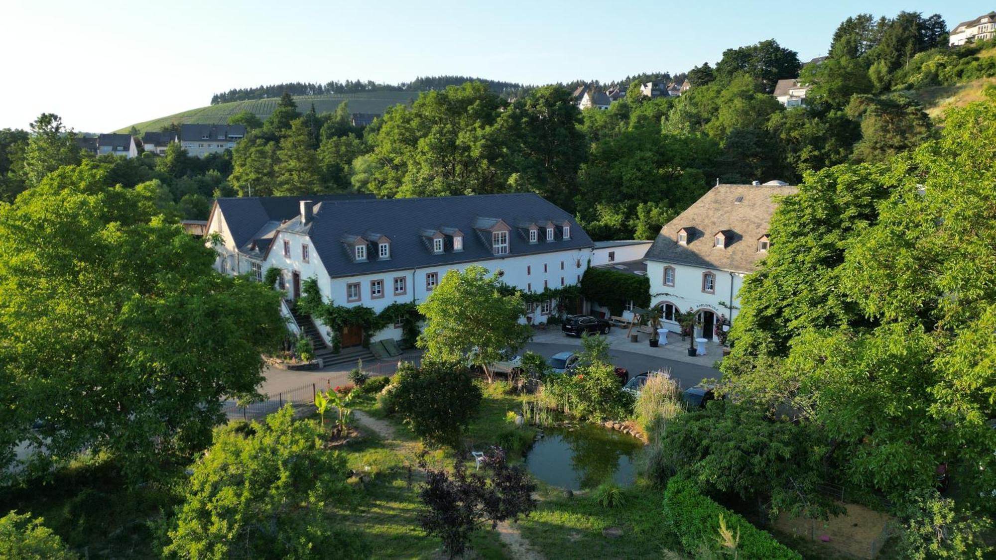 Hotel und Weingut Karlsmühle Mertesdorf Exterior foto